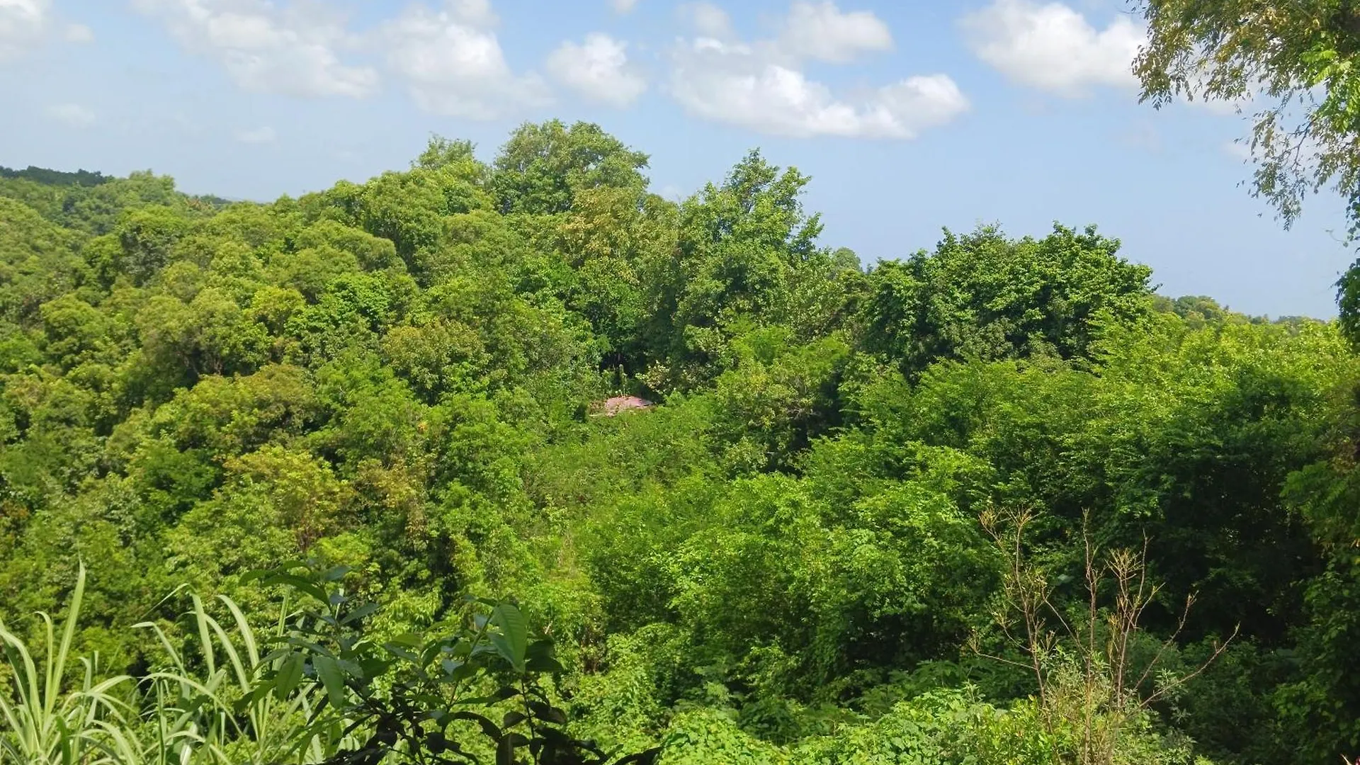 Colibris Location Sainte-Anne Διαμέρισμα  Sainte-Anne (Grande-Terre)